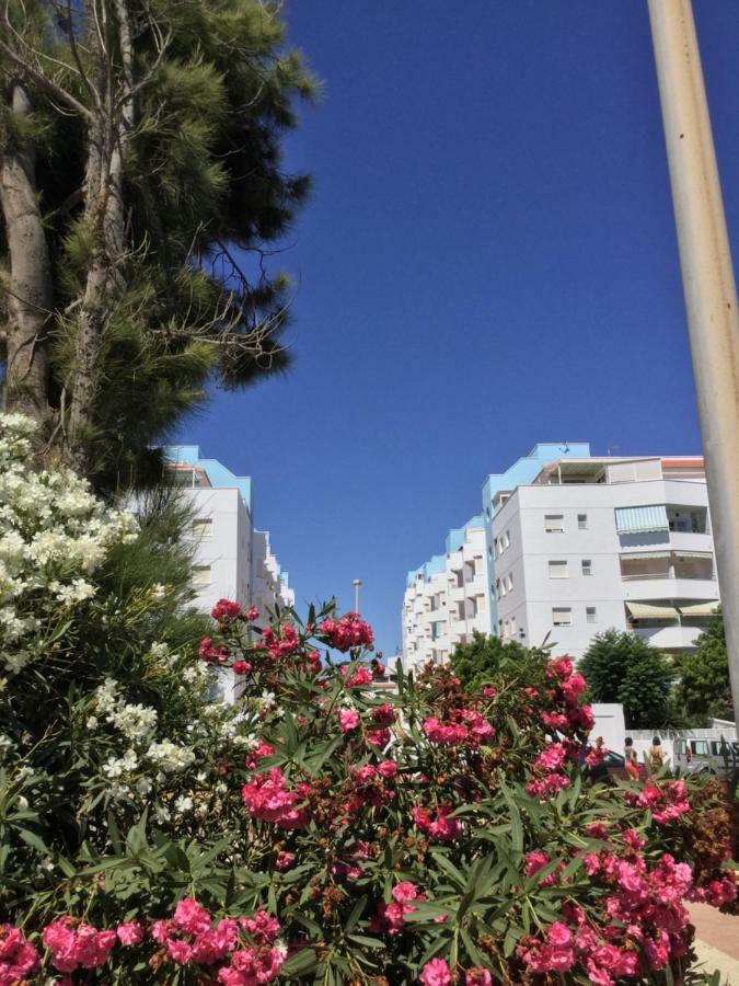 La Perla Azul Playa - Terraza Al Sol Appartement *